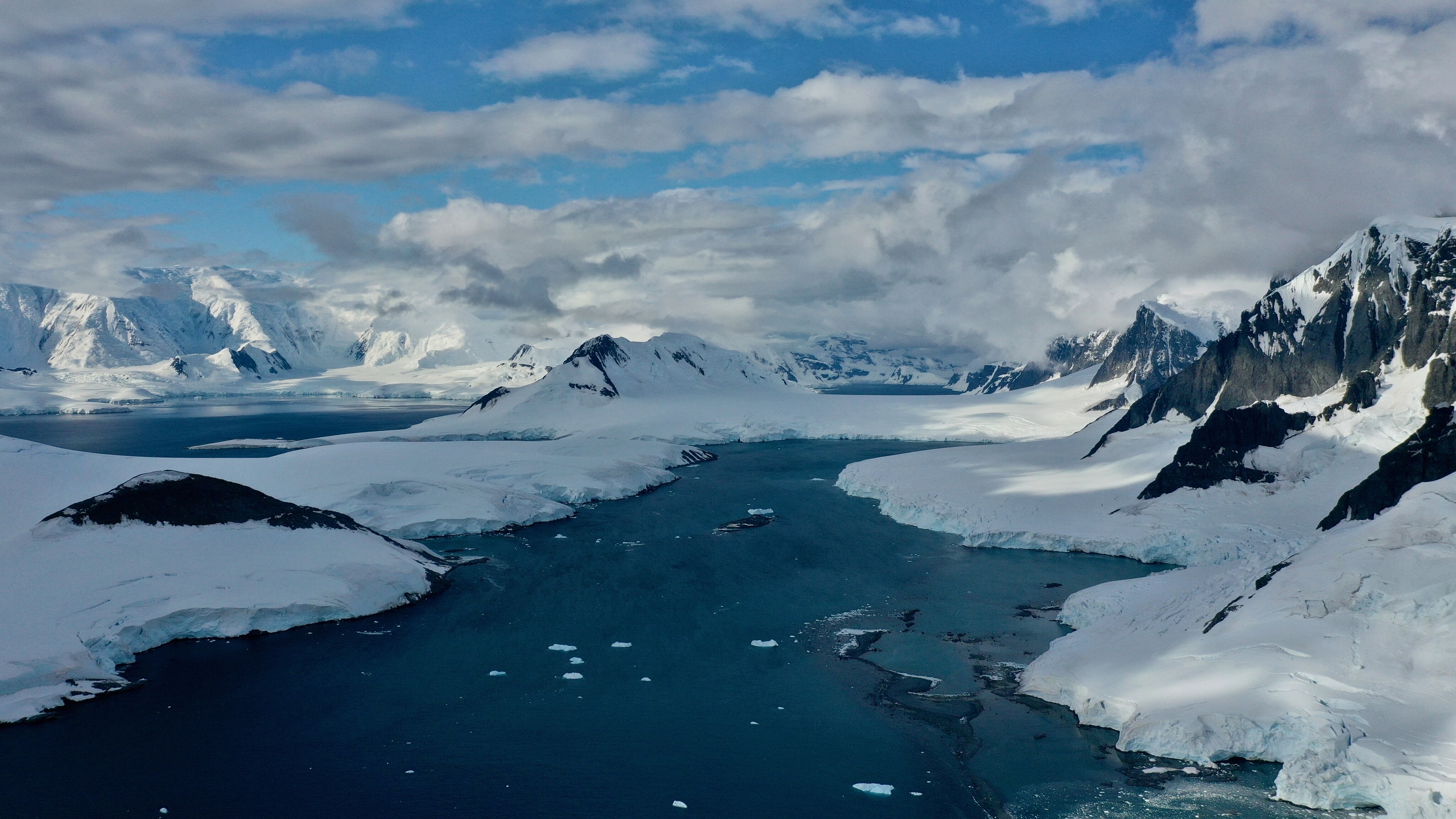 The Gerlache Strait along the Antarctic Peninsula is home to Type B Orcas, which bear a yellow-green hue from algae that clings to their skin. (National Geographic for Disney+/Hayes Baxley)