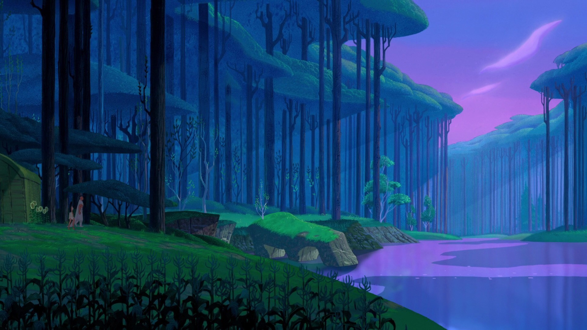 forest from Pocahontas