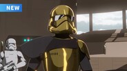 Secrets and Holograms