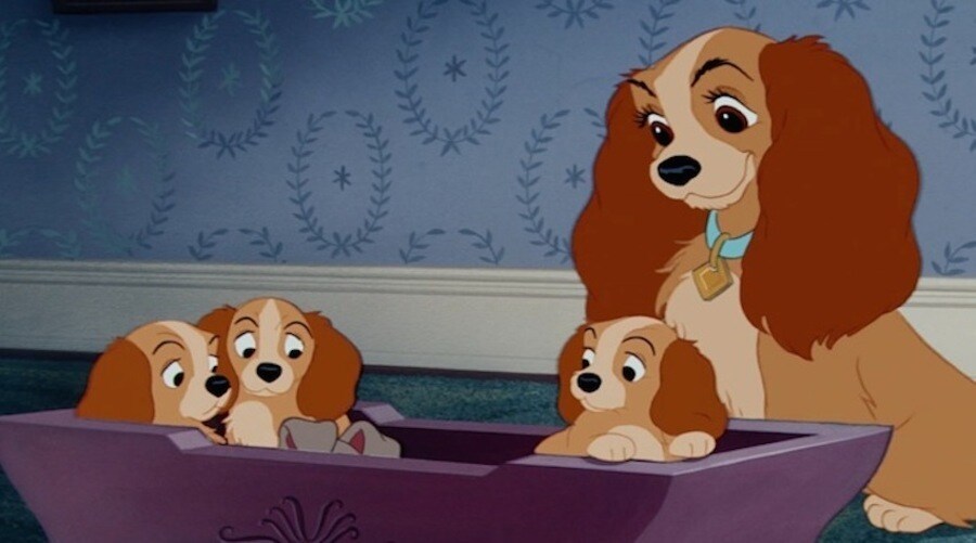 Quiz Which Disney Prince Should be Your Prom Date? Oh