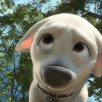 disney puppy names quiz name that disney disney insider disney puppy names quiz name that disney disney insider