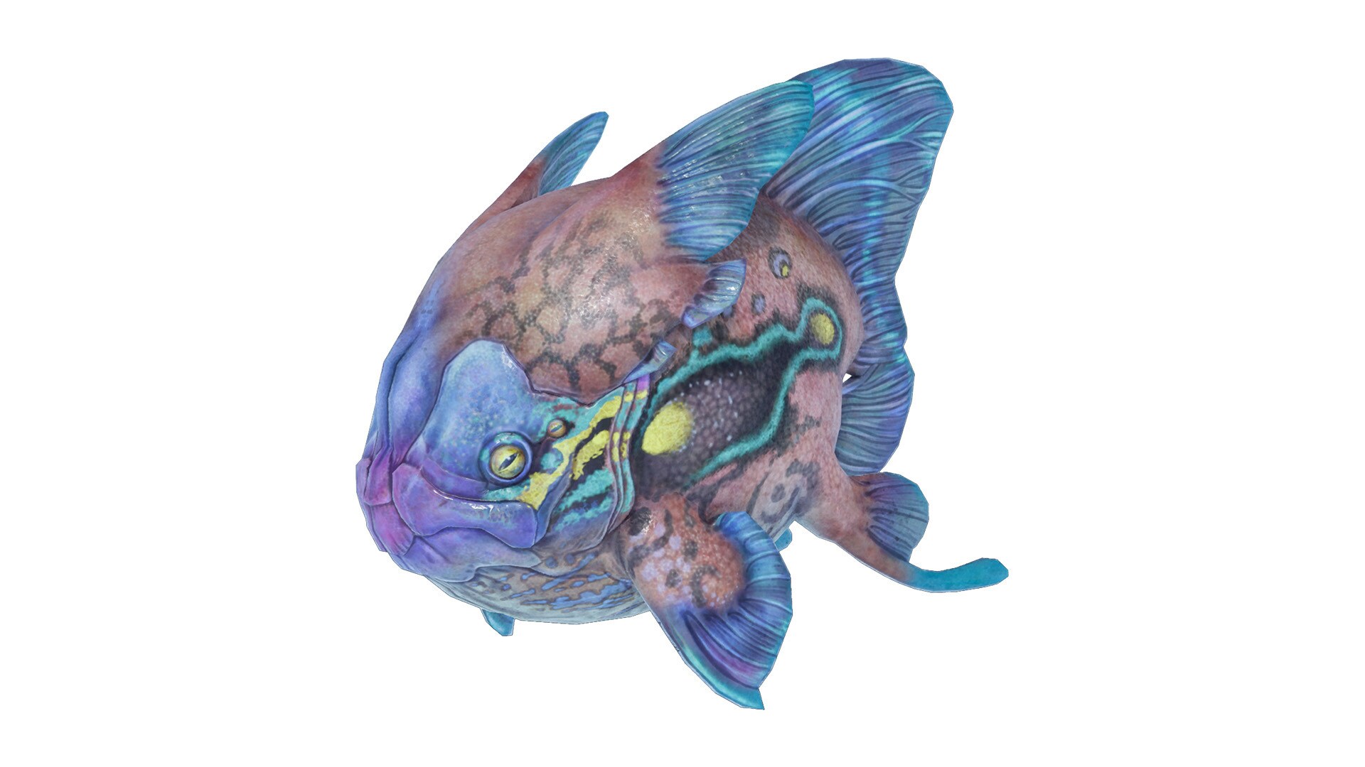 Rockbeak Fish