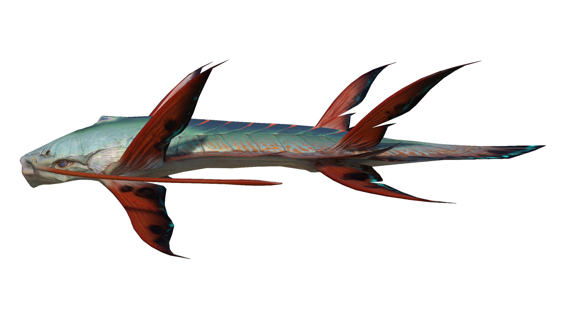 Octofin Fish
