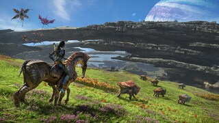 Upper Plains