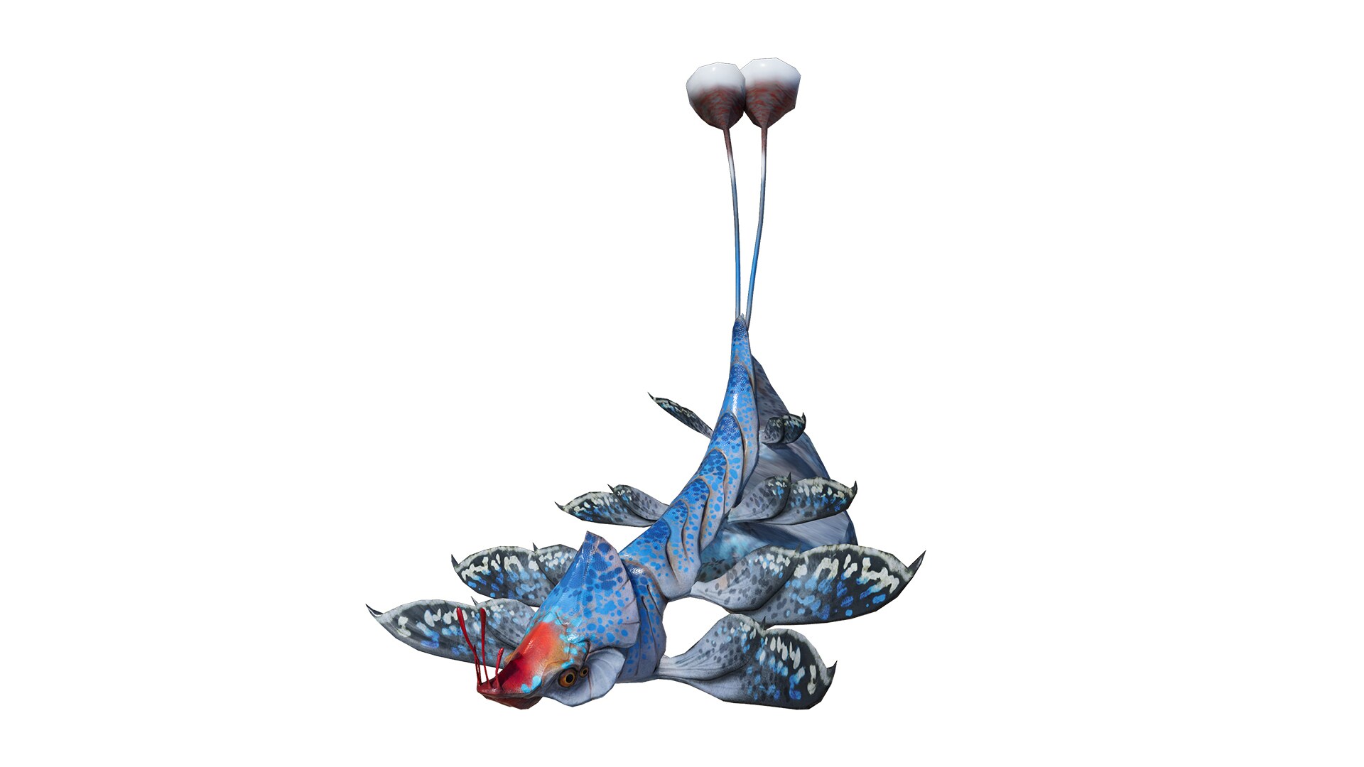 Buoyfish