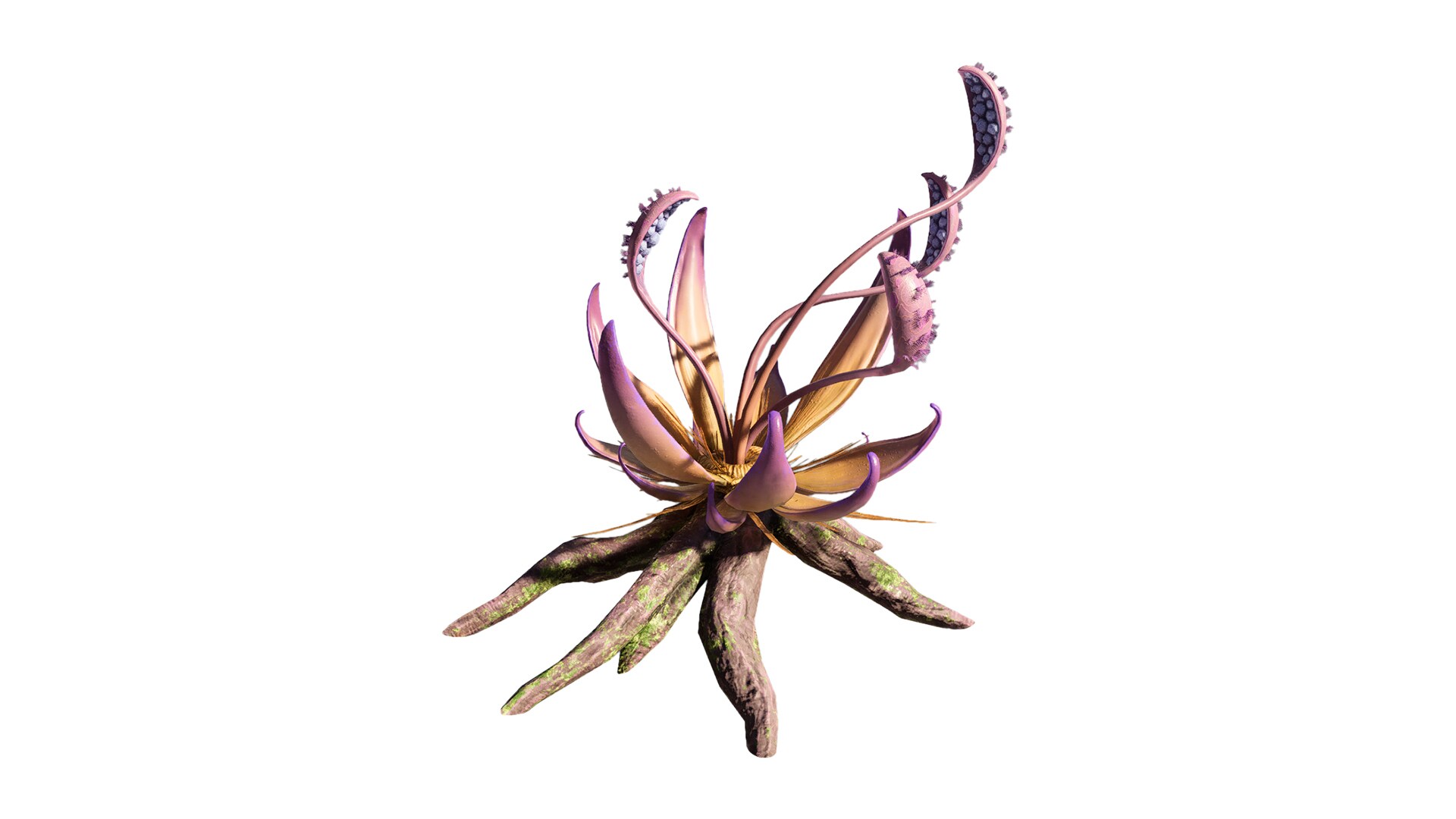 Banshee's Tail