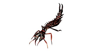 Scorpion-like arachnoids