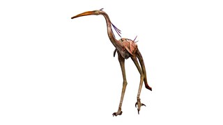 flightless austrapede