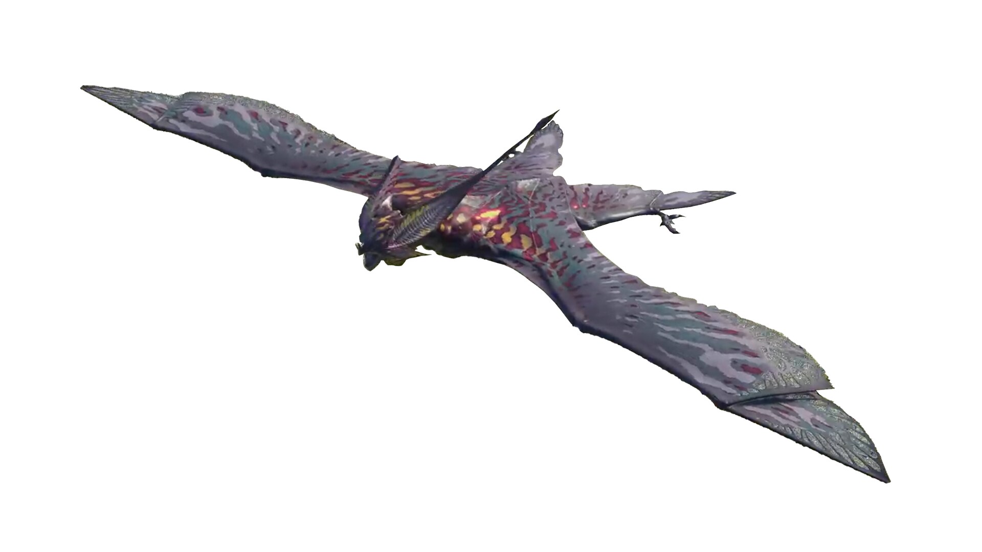 Chiroptera