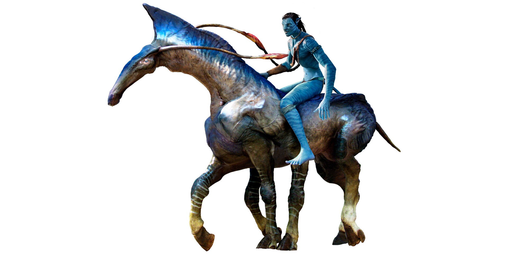 Ngựa Direhorse | Avatar.com:
Bạn đã từng ước mơ được bay trên một sinh vật hoang dã trong bộ phim Avatar? Tham gia trò chơi với những người hâm mộ trên Avatar.com và tìm hiểu về ngựa Direhorse. Bạn sẽ được khám phá một thế giới mới đầy ma thuật và kỳ diệu. Hãy sẵn sàng để đắm chìm vào trò chơi đầy hứng khởi này!
