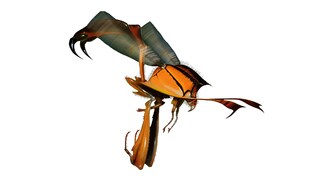 Hellfire Wasp