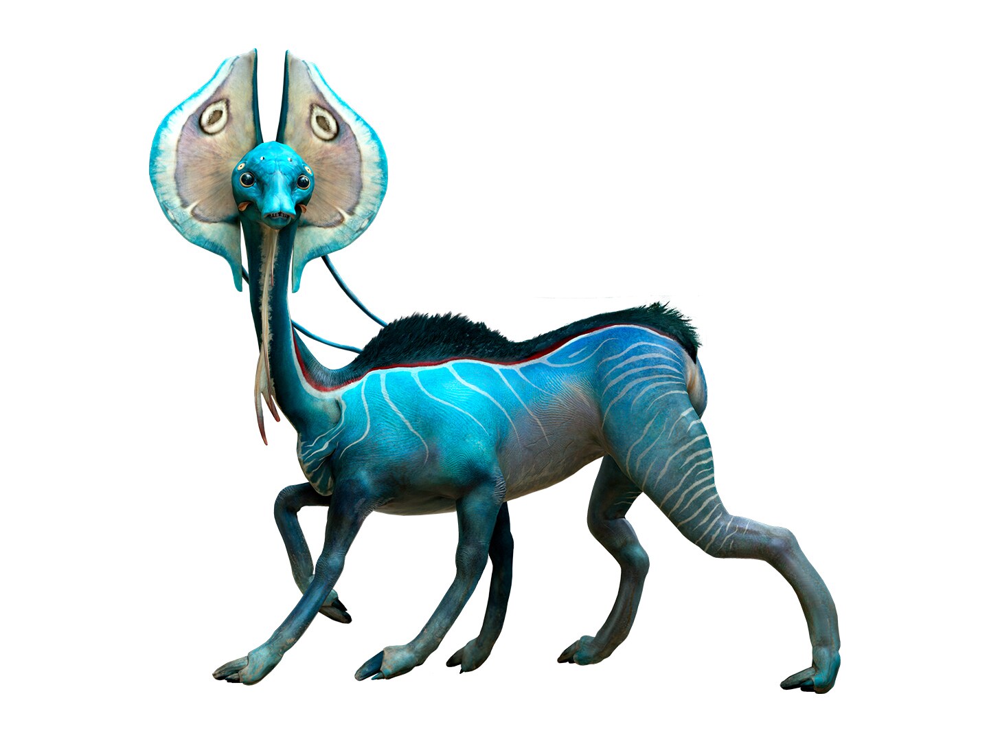 Hellfire Wasp | Avatar.com