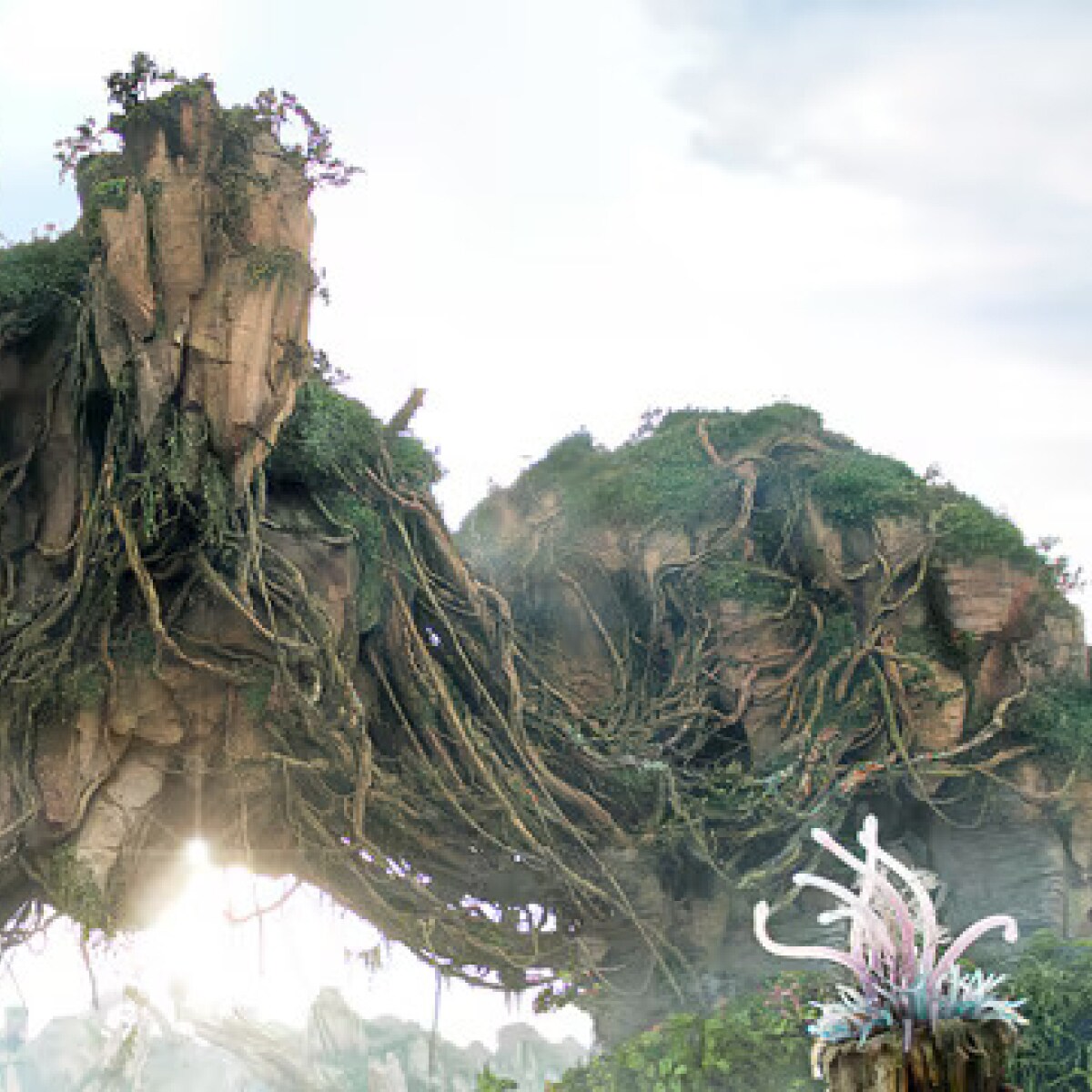 Mo'ara Valley