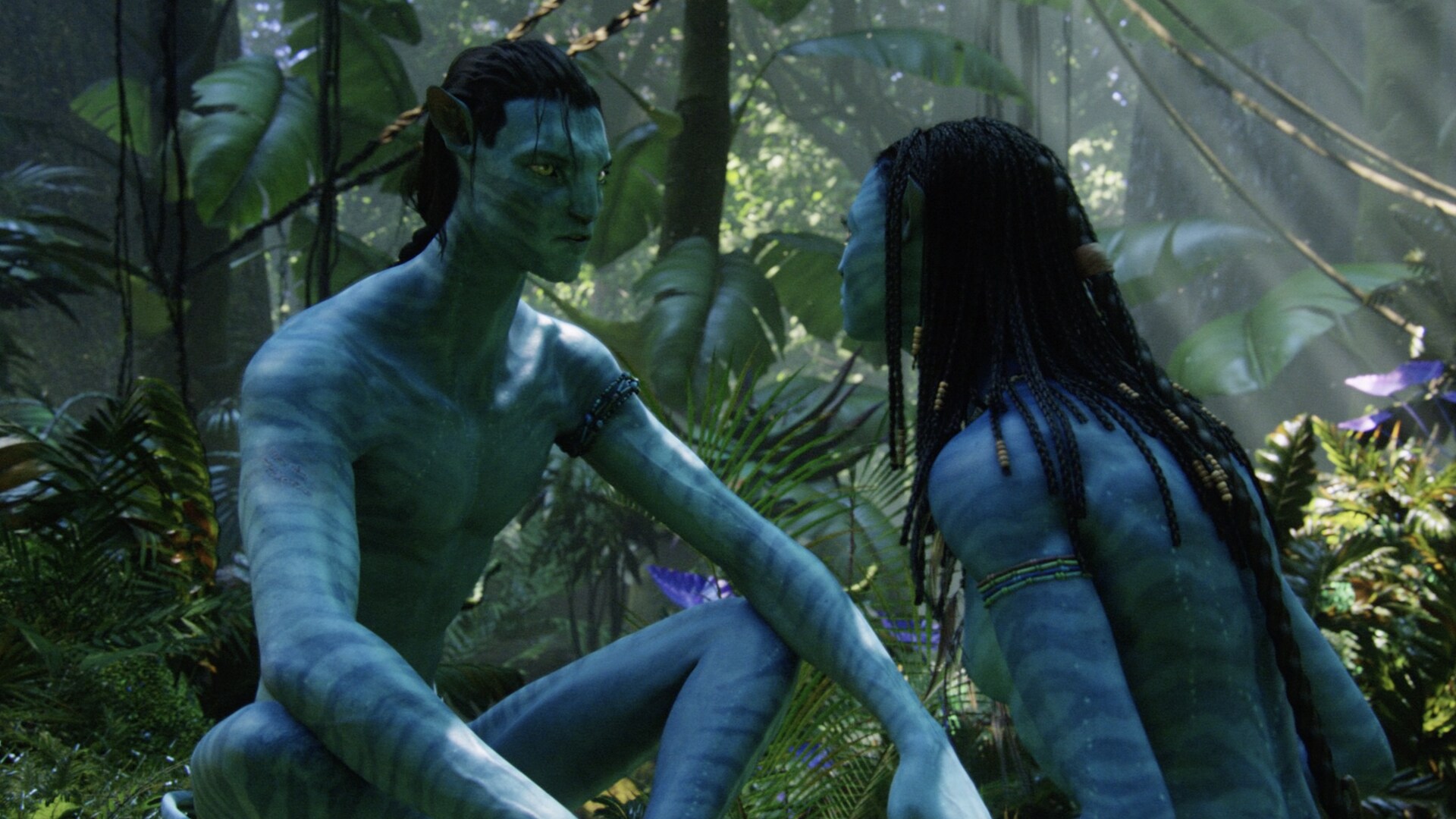 Na'vi Language
