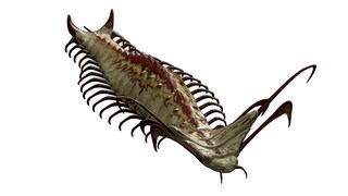 Neoteni Centipede