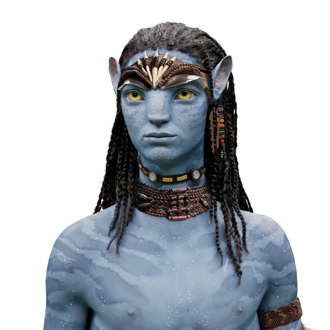 Avatar, Avatar Wiki