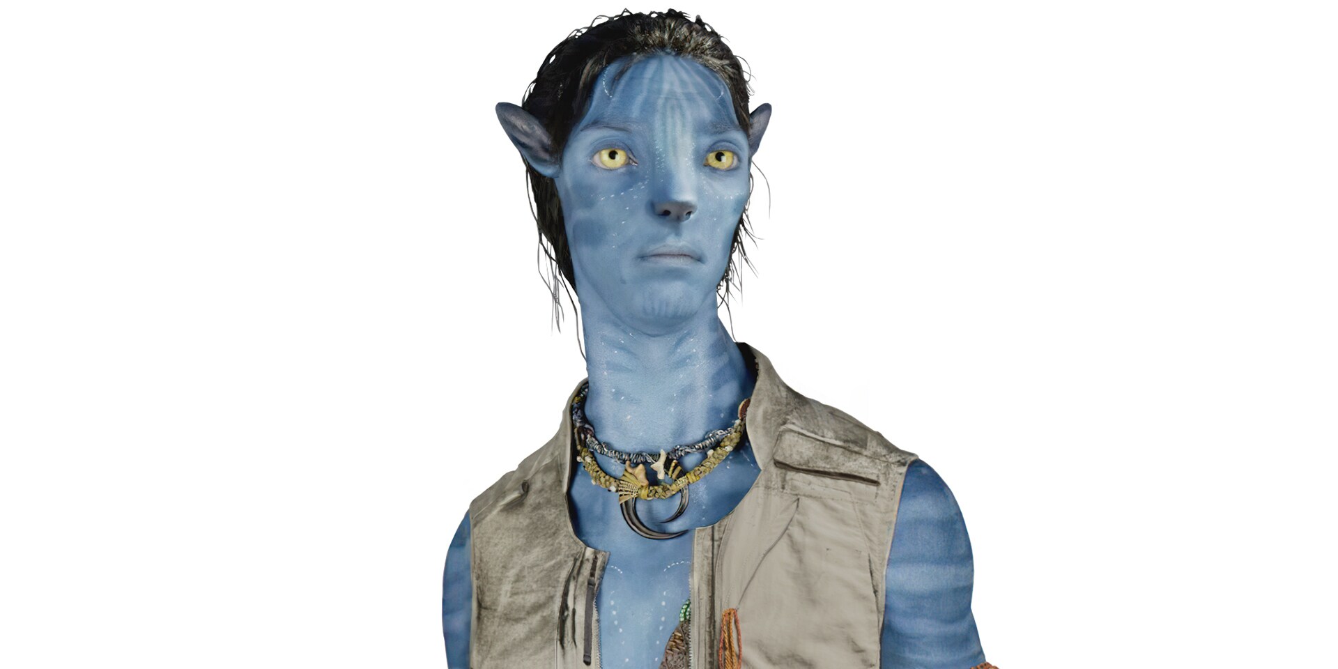 Jake Sully & his Avatar