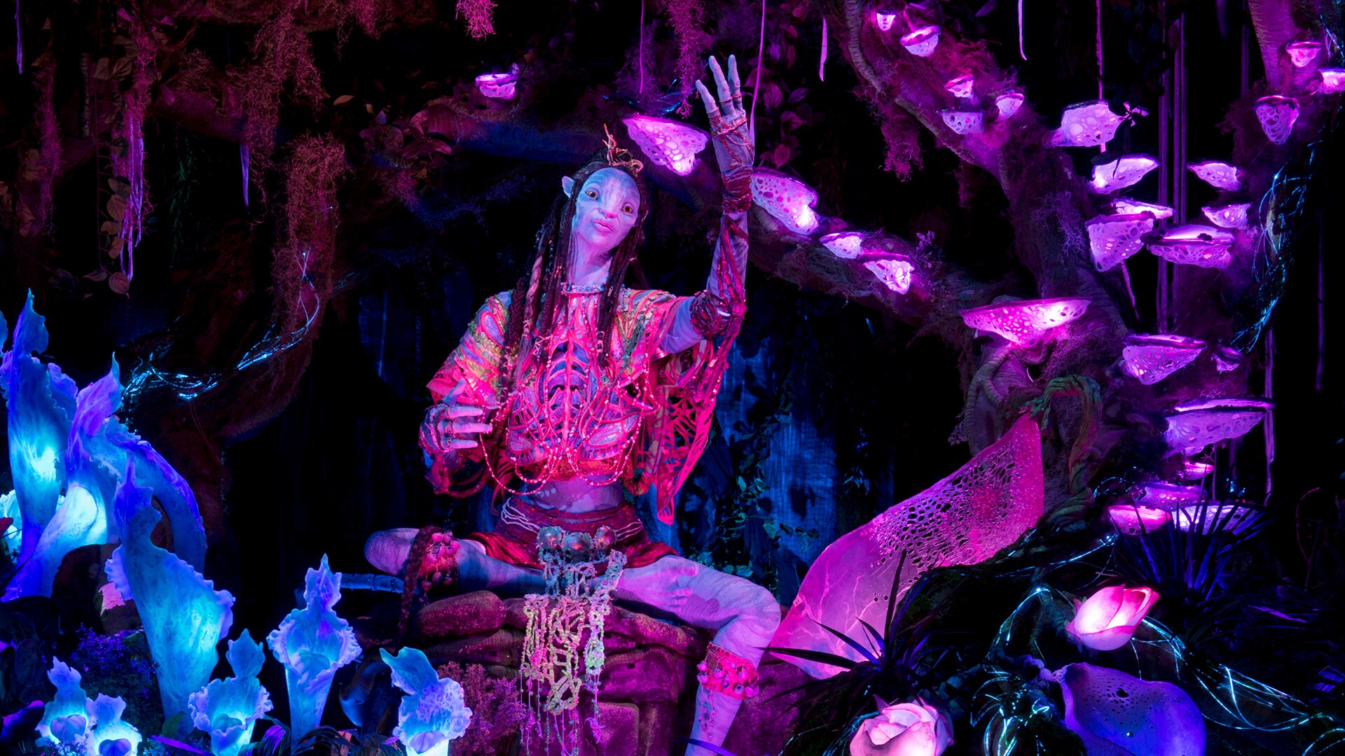 Shaman of Songs
