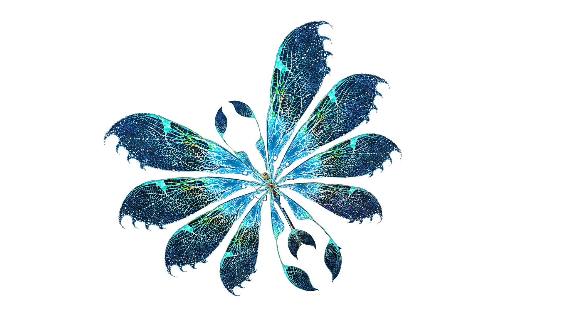 Shimmyfly
