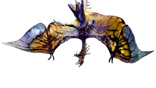 Stingbat
