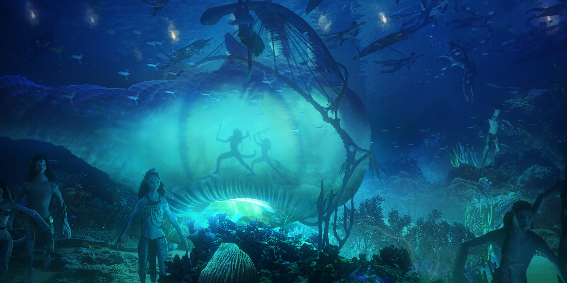 Water Drum | Avatar.com