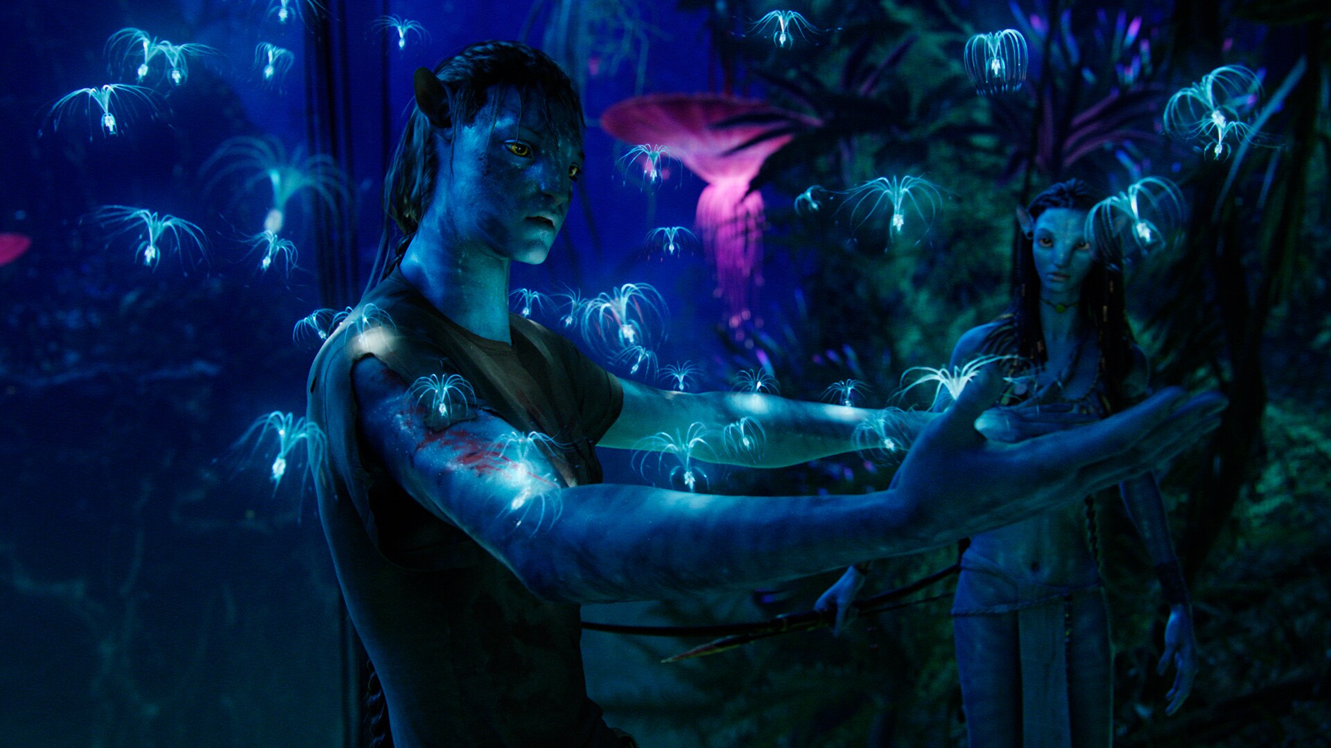 An Inside Look at the World of Avatar with Joshua Izzo