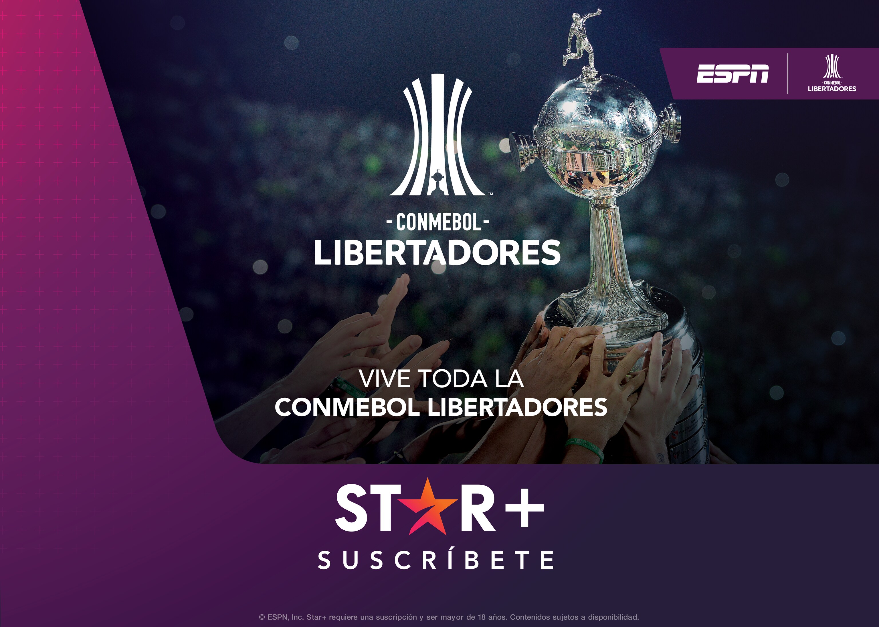Gladys tanto estanque Copa Libertadores en vivo por Star+: todos los partidos que puedes ver esta  semana | Star Latinoamérica