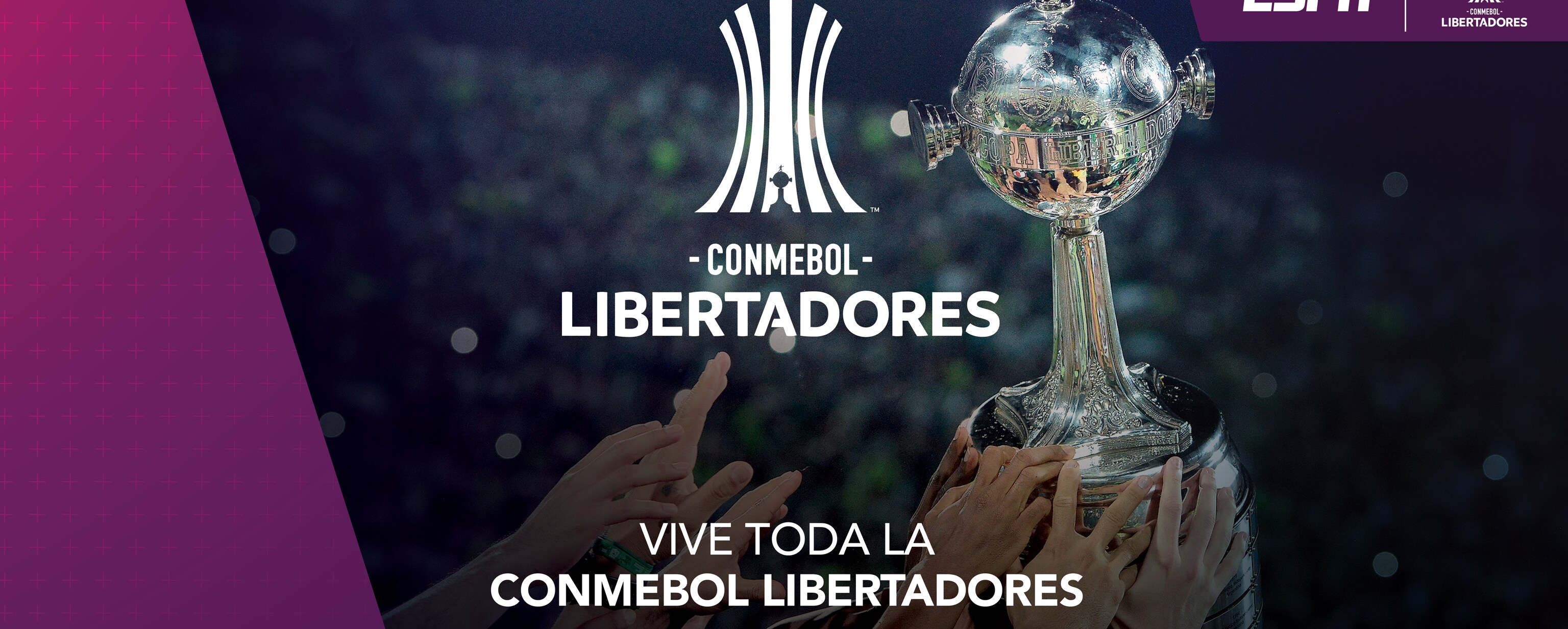 Copa Libertadores en vivo por Star+ todos los partidos que puedes ver