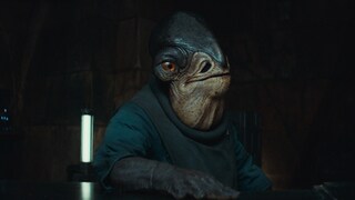 Admiral Raddus