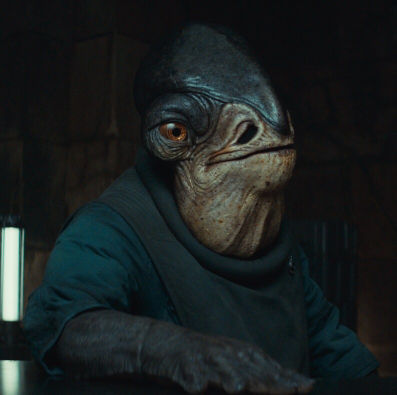 Admiral Raddus