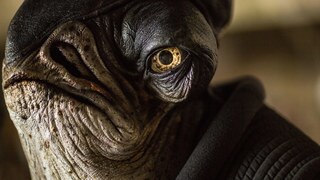 Admiral Raddus