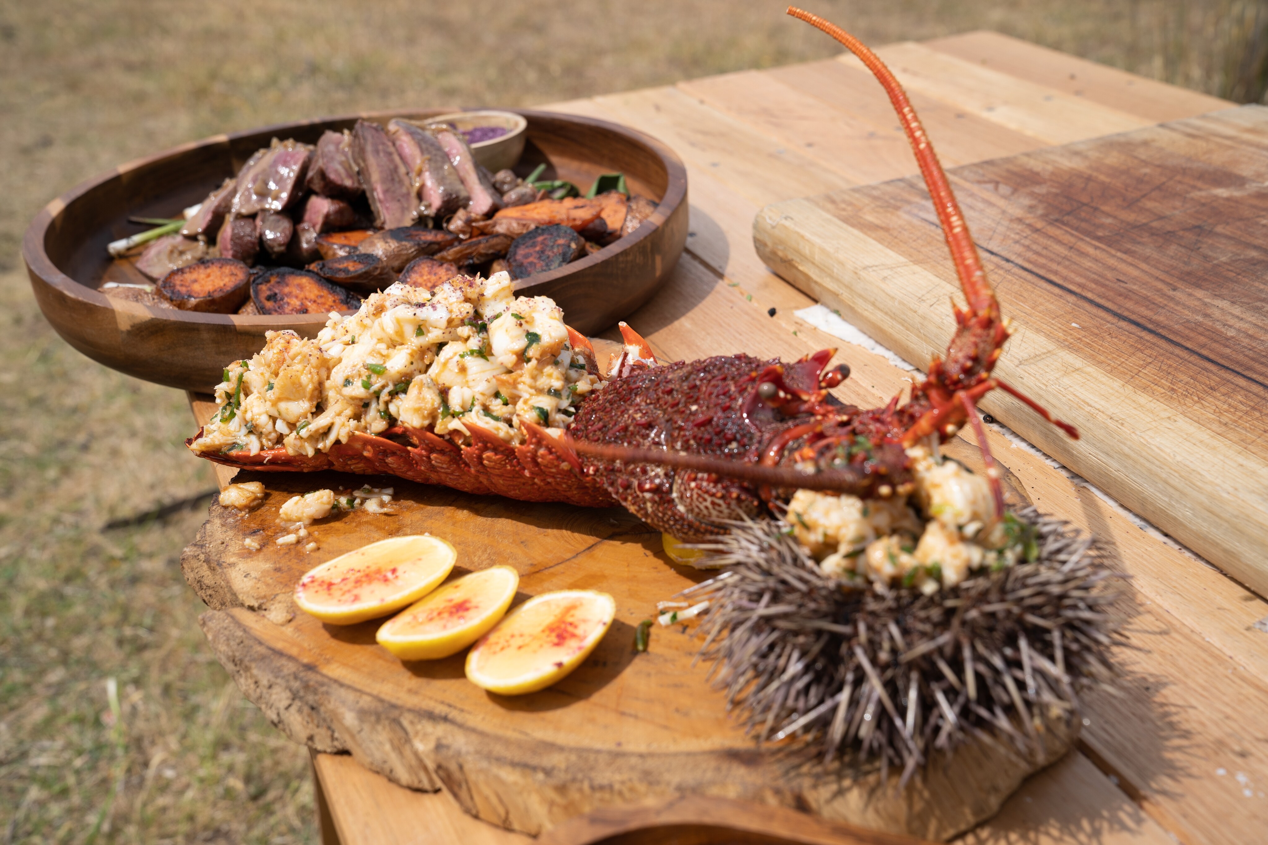 Tasmanian rock crayfish