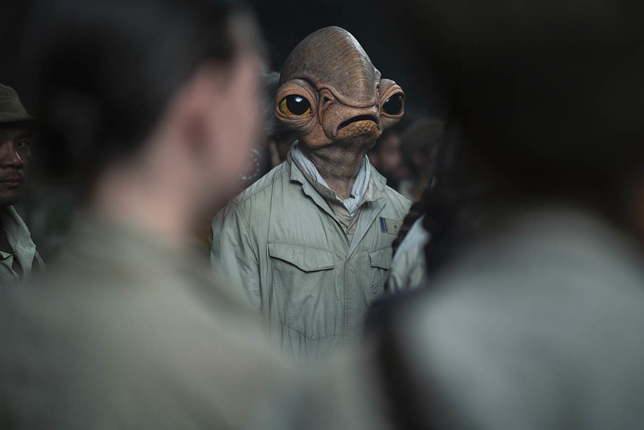 star wars admiral ackbar