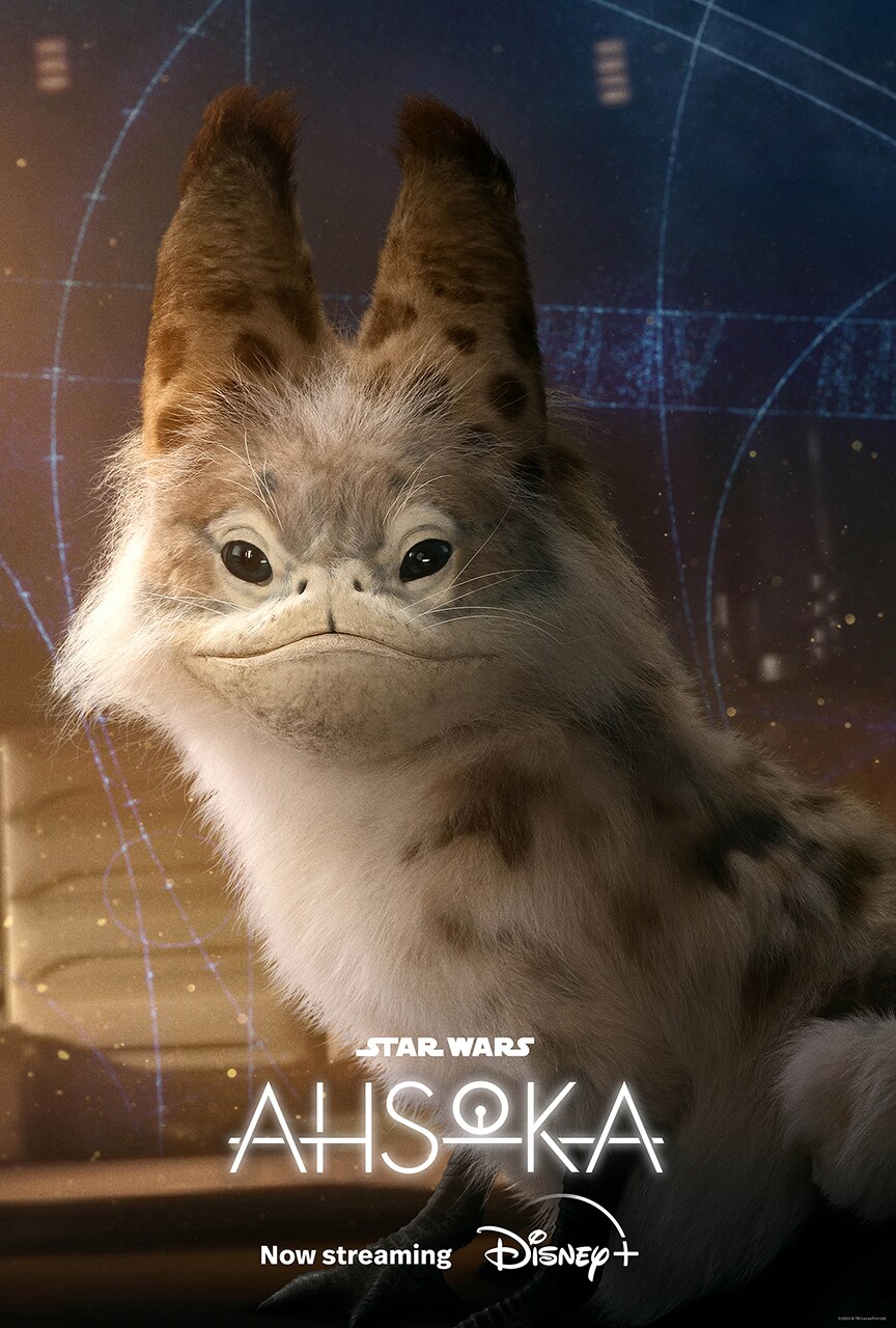 Loth-Cat Character Poster