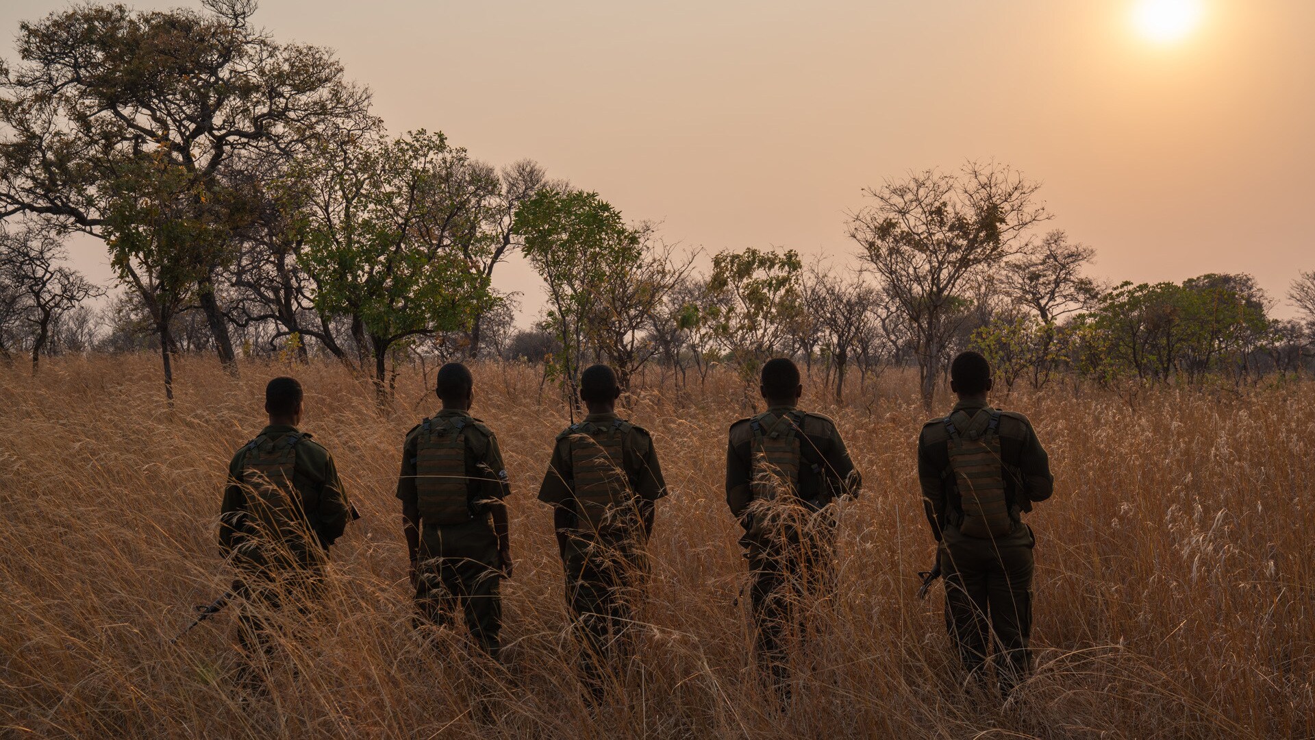 Zimbabwe - Akashinga Rangers in a field. (Kim Butts)