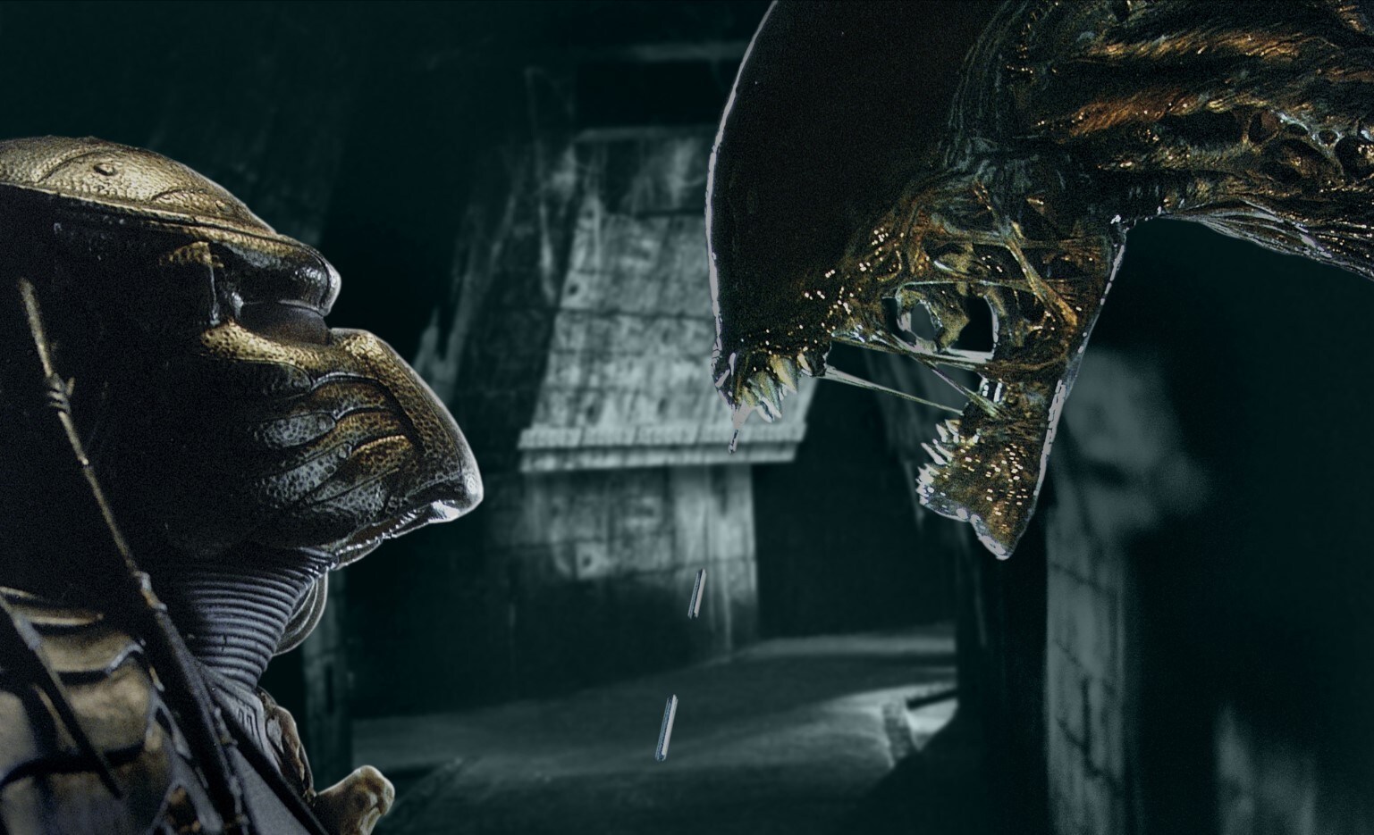 Alien Alien