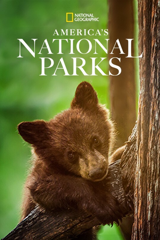 America's National Parks | Poster Artwork | Disney+