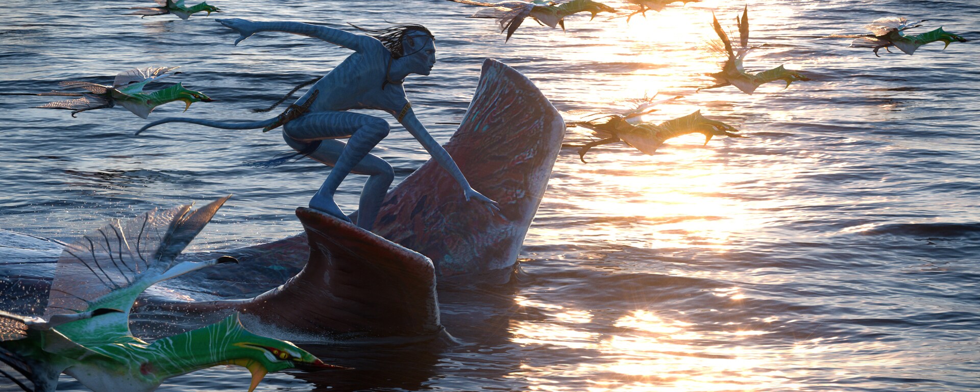 Image of Lo'ak surfing on top of the tulkun, Payakan.