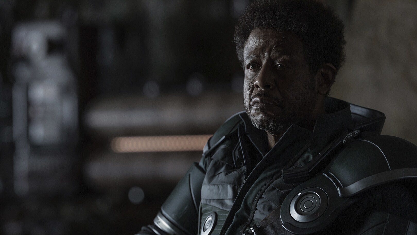 "What are you, Luthen? I've never really known. What ARE you?" - Saw Gerrera
