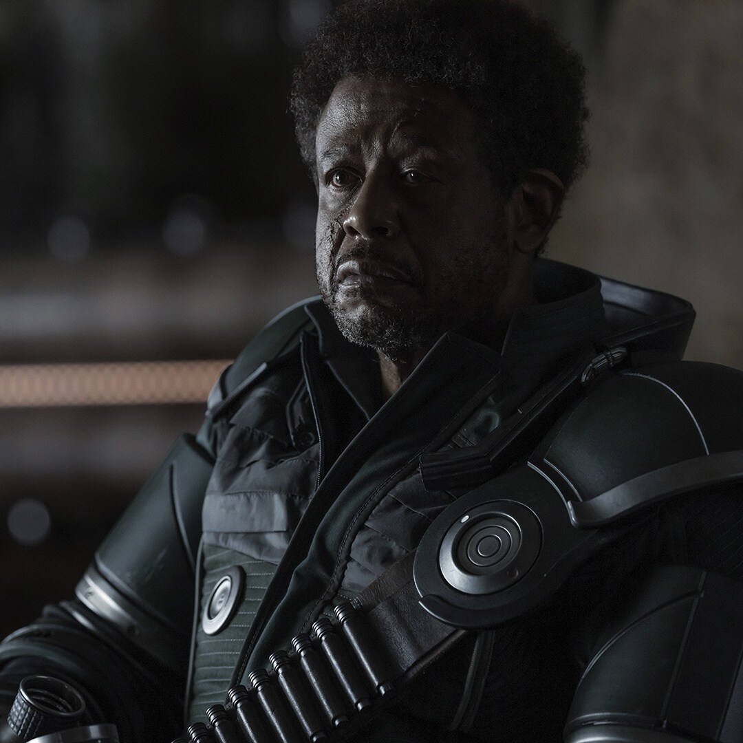 Quote -  Saw Gerrera - "What are you, Luthen? I've never really known. What ARE you?"