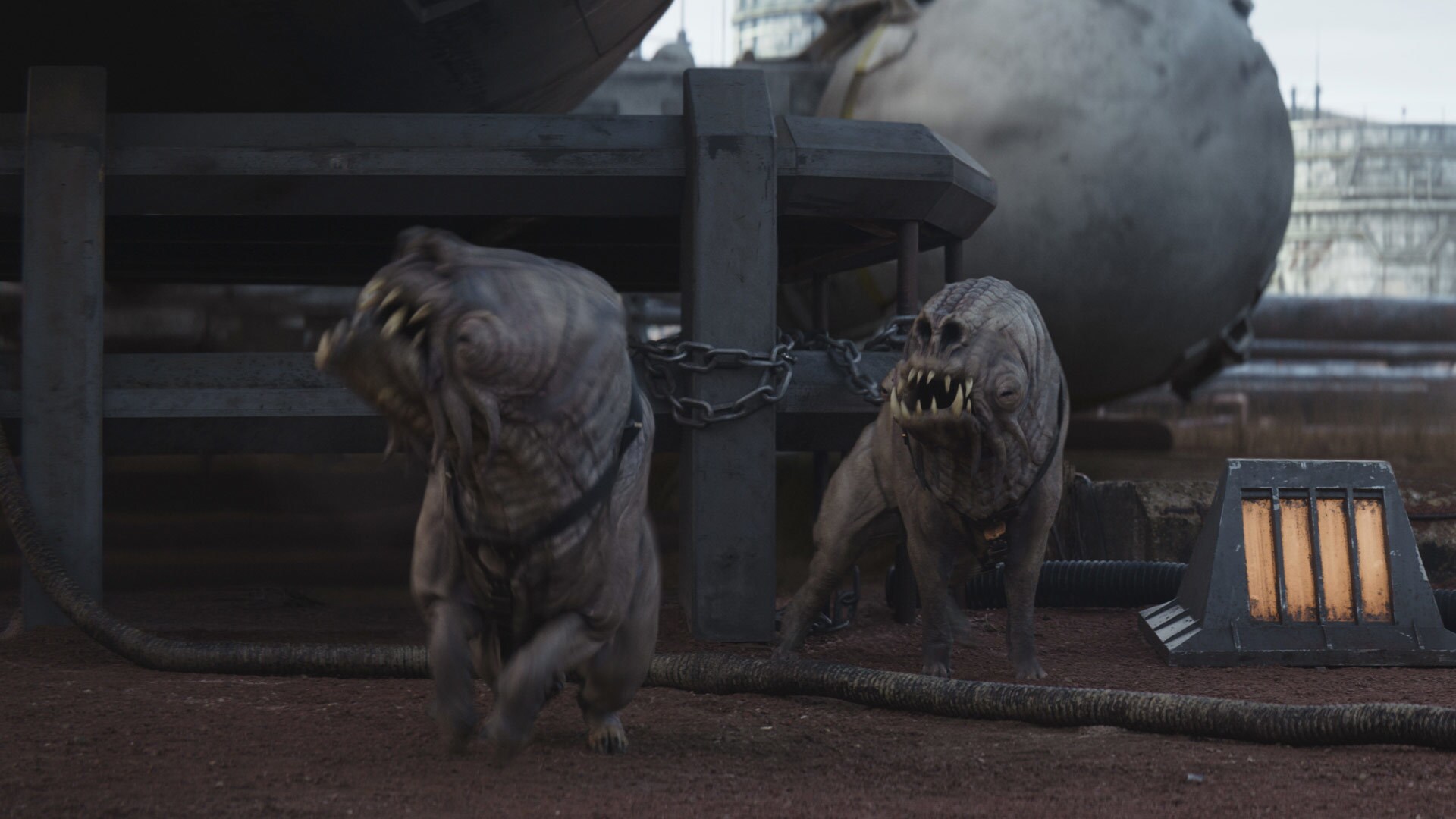 The Ferrix hounds seen with Pelga in Zorby’s Western Shiplot are actual canines in suits.