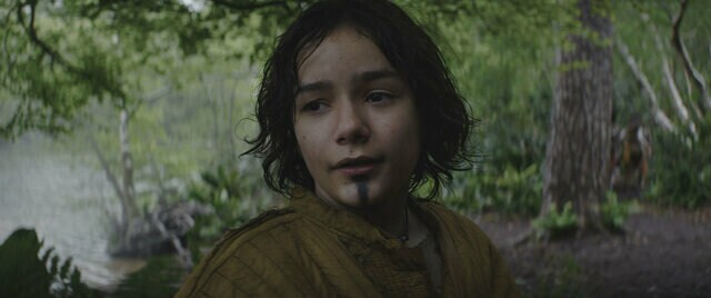 Young Cassian Andor on Kenari