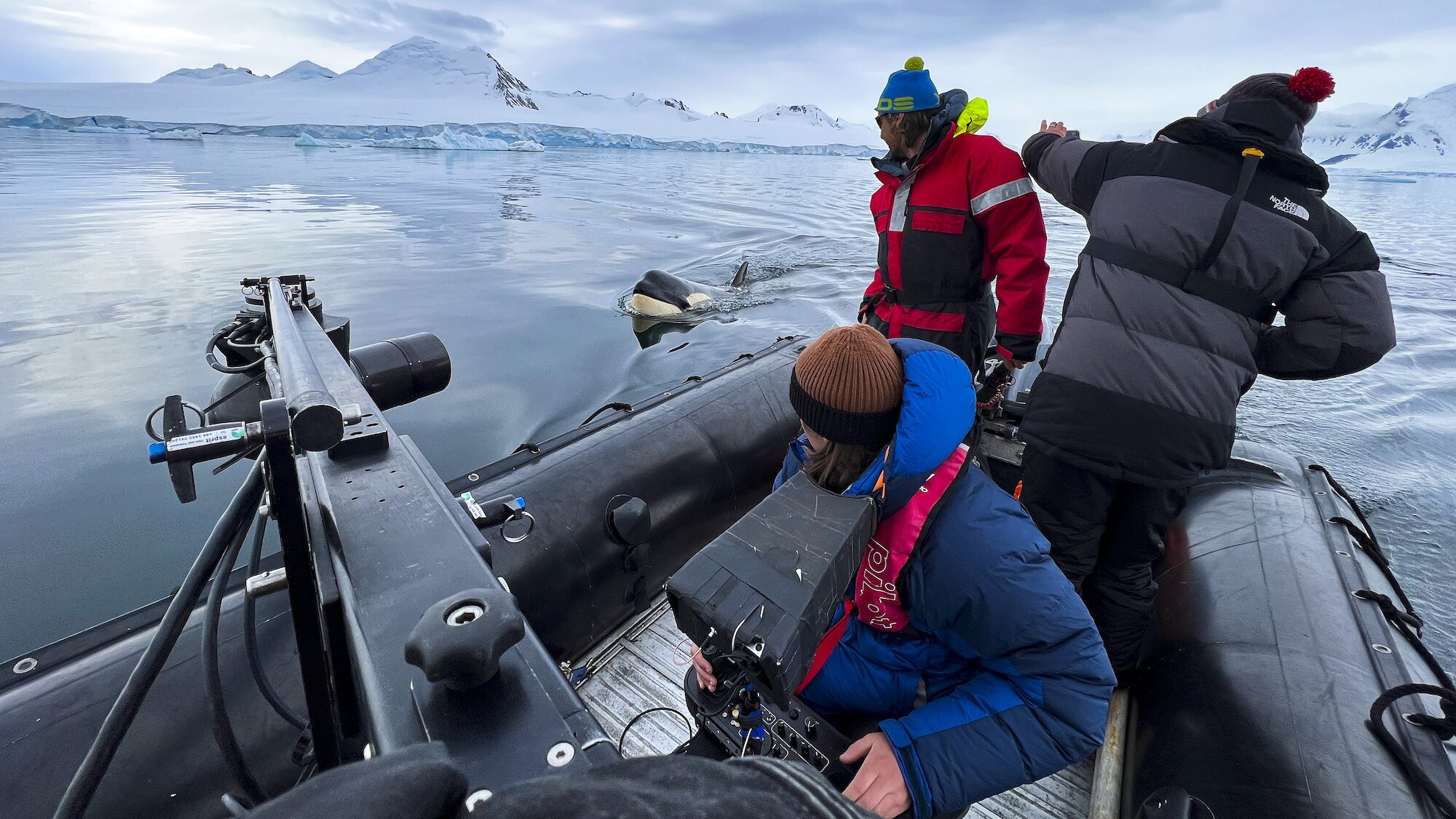 Tom Walker operating the gimbal camera as a killer whale swims past the boat. (credit: National Geographic for Disney+/Calumn Stronach)