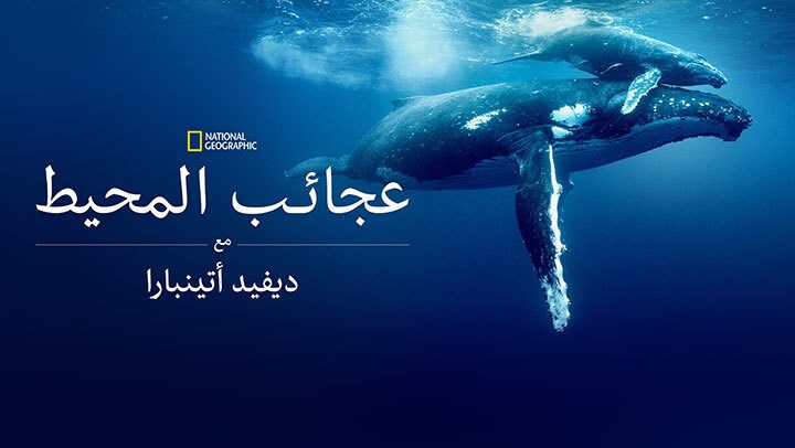 المحيط مع "ديفيد أتينبارا"