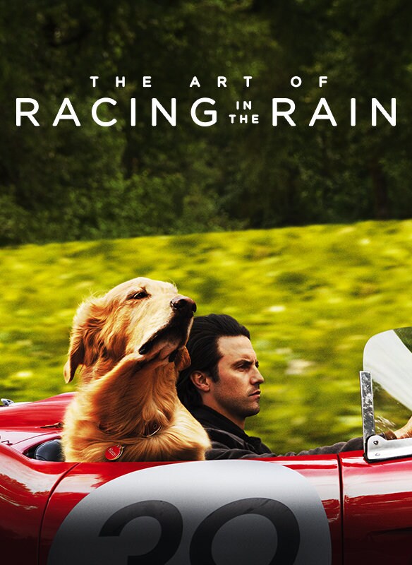 The Art of Racing in the Rain movie poster
