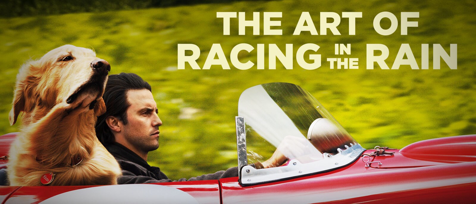 The Art of Racing in the Rain Hero