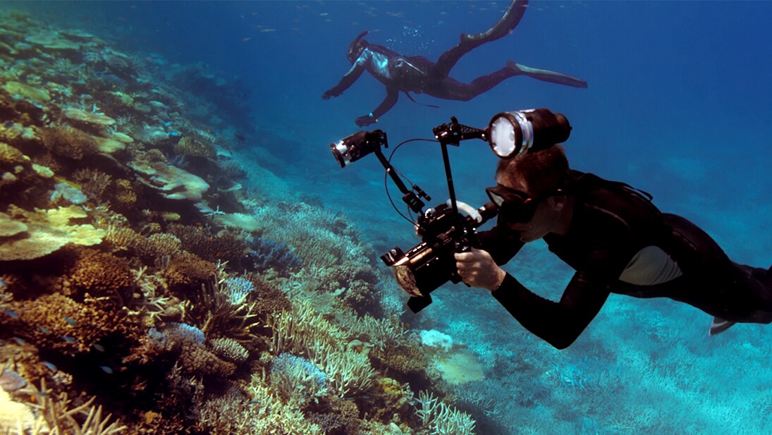 A still image from the documentary Citizens of The Great Barrier Reef