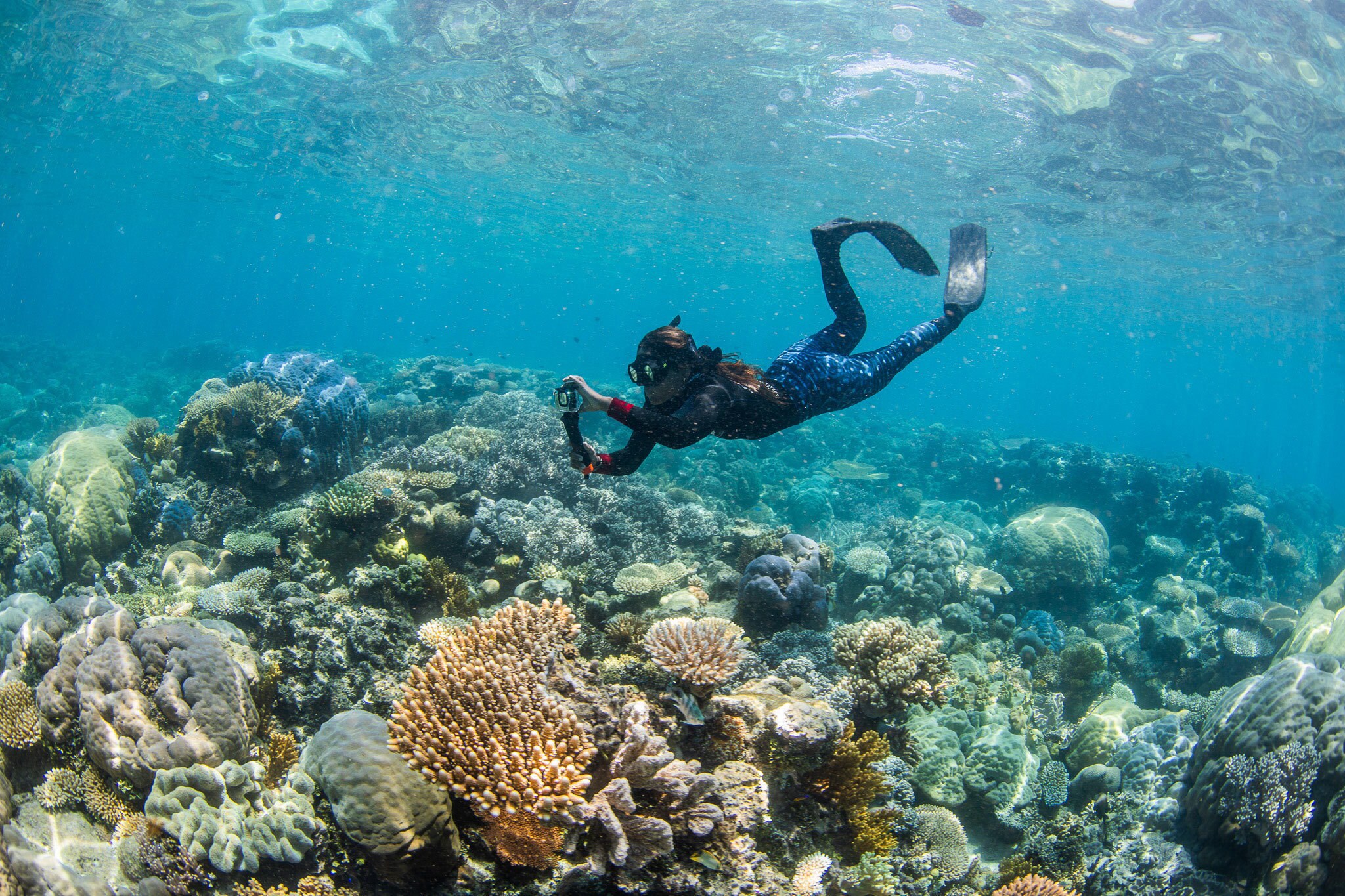 An image of an underwater photographer taking pictures of the reef floor and coral beds.