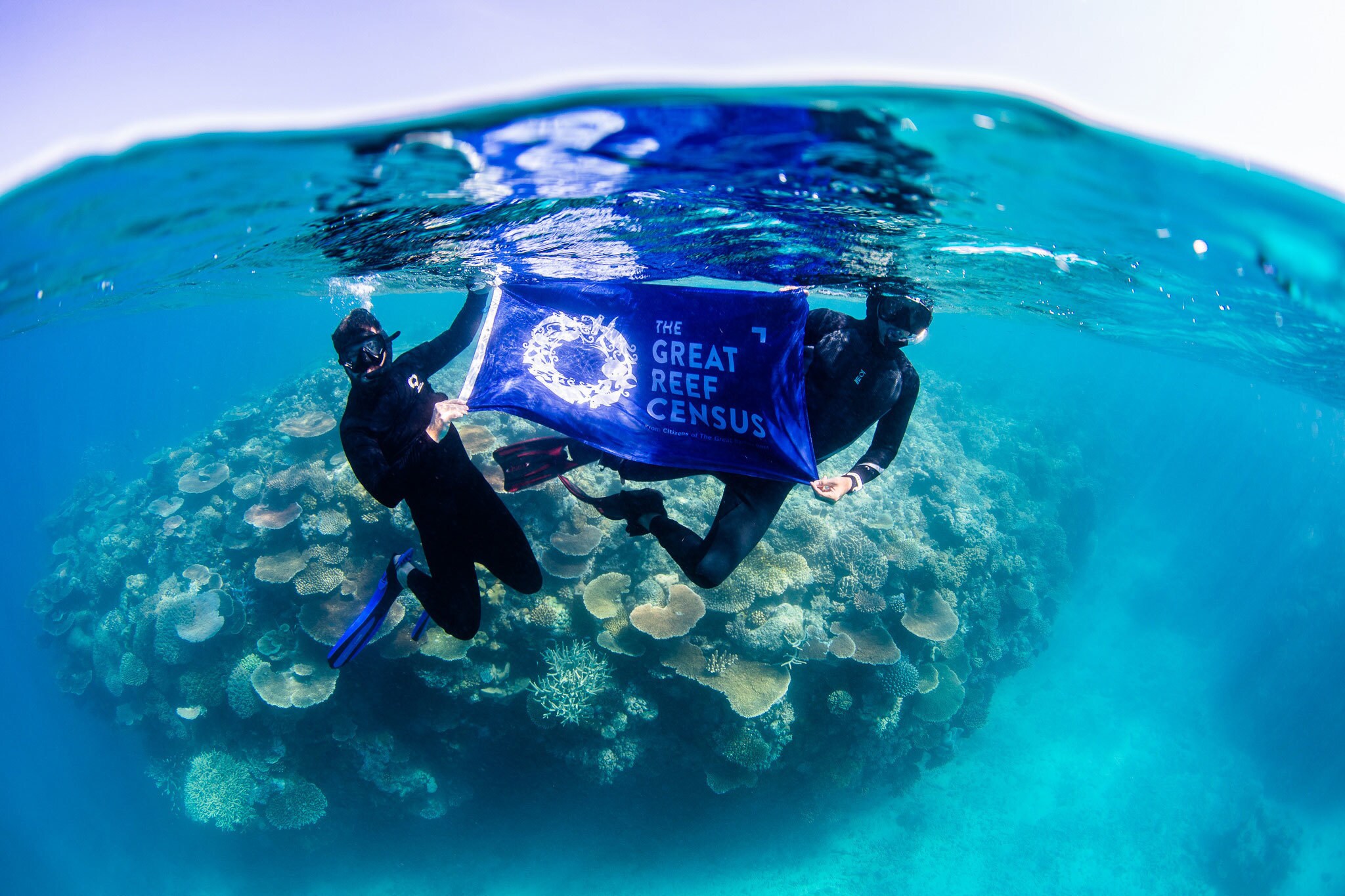 An image of two divers underwater holding a Great Reef Census banner.