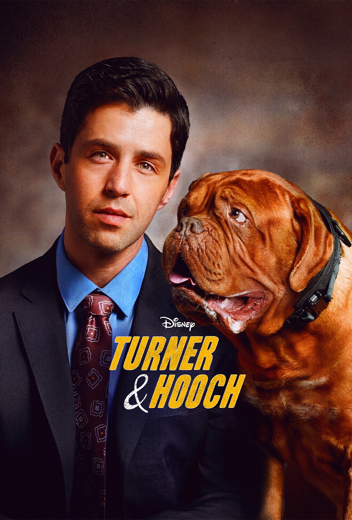 Turner & Hooch on Disney Plus